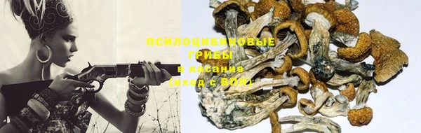 кокс Козельск